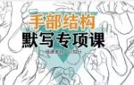 衍知行手部结构默写专项课【画质高清只有视频】-画CG