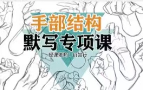 衍知行手部结构默写专项课【画质高清只有视频】-画CG